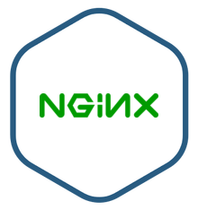 Nginx-intel